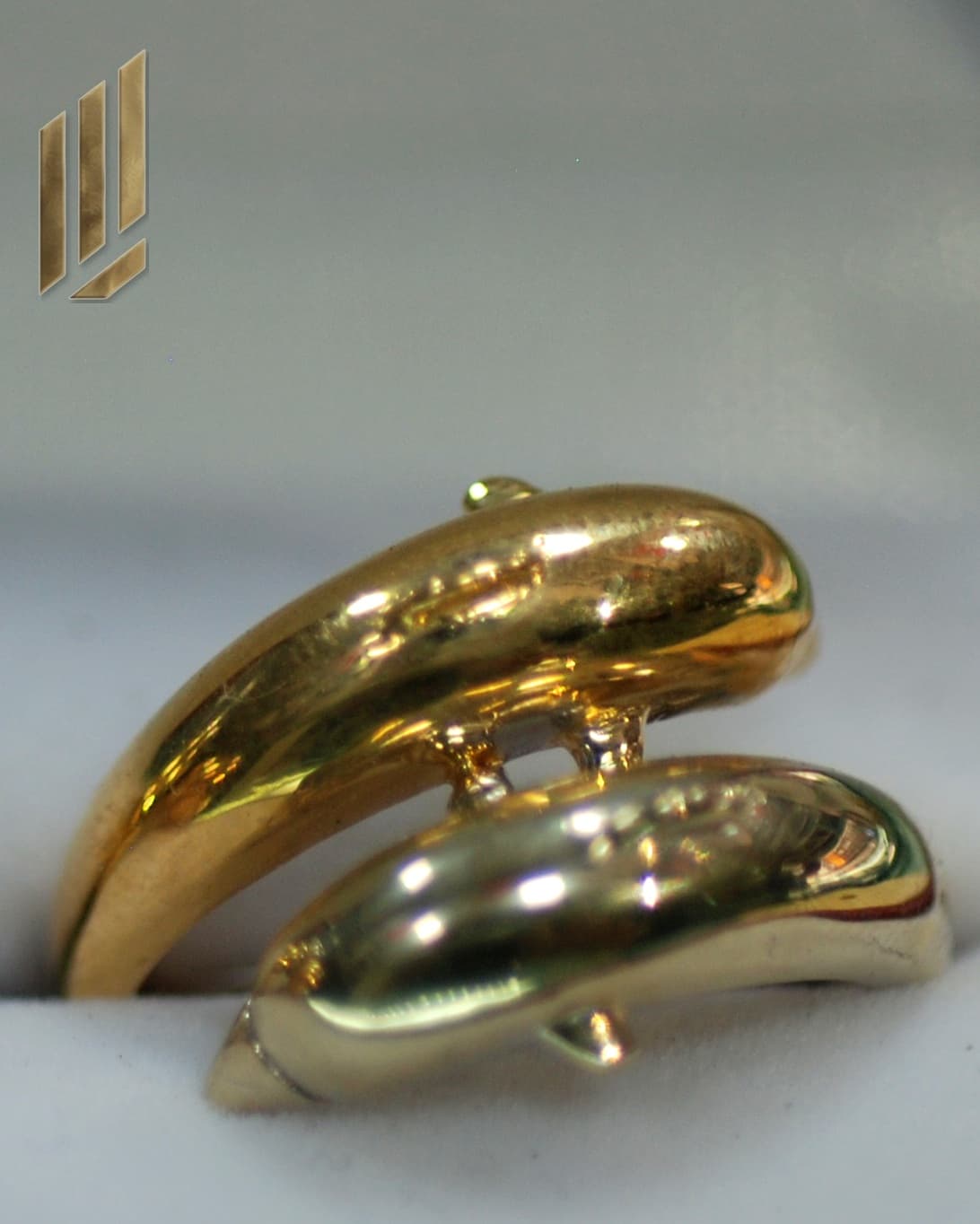 Conjunto Lady Anillo Delfines